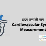 Cardiovascular System Measurement