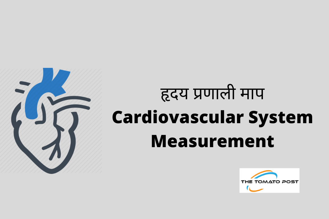 Cardiovascular System Measurement